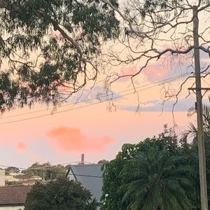 Meet your Posher, Alarna